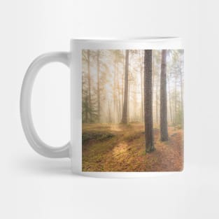 Foggy morning sun light forest Mug